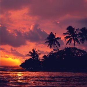 Meet your Posher, Lia